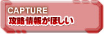 攻略情報がほしい